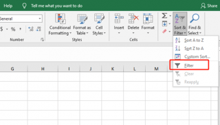 Excel Tips and Tricks of Filter Function - My Microsoft Office Tips