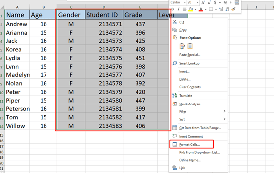 How To Hide Cell Contents In Excel My Microsoft Office Tips